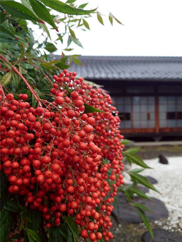 犬山こども長唄クラブ定期演奏会